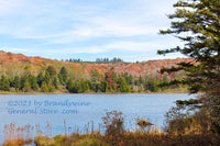 art print of Spruce Knob lake WV in late fall with tall evergreen and clear waters