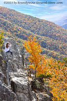 An original premium quality art print of Staring Wistfully at the View from Seneca Rocks for sale by Brandywine General Store