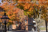 art print of autumn on Shenandaoh street in Harpers Ferry National Historic park