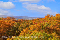 art print of Tops of Autumn Trees from Longstreet Tower in Gettysburg Military Park