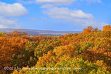art print of Tops of Autumn Trees from Longstreet Tower in Gettysburg Military Park