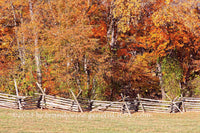 art print of Fall Scene with Rail Fence at the Virginia Monument in Gettysburg National Military Park