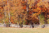 art print of Fall Scene with Rail Fence at the Virginia Monument in Gettysburg National Military Park
