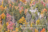 art print of Blackwater Canyon WV in late autumn with rock ledge