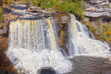 art print of Blackwater Falls surrounded by Autumn colored bushes