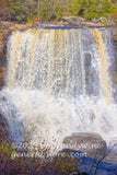 art print of Blackwater Falls showing big section of the divided waters
