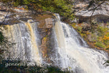 art print of Blackwater Falls WV framed by rhododendron bushes and spruce trees