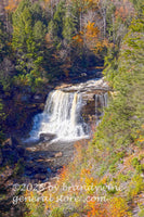 art print of Blackwater Falls in a narrow gorge with some fall coloring