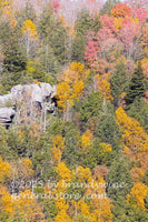 Blackwater canyon WV rock ledge surrounded by late autumn colors