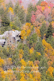 Blackwater canyon WV rock ledge surrounded by late autumn colors