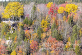 art print of observation deck on rock ledge at Blackwater Falls in late autumn