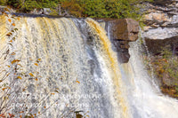art print of a visible stream of honey color water in Blackwater Falls WV