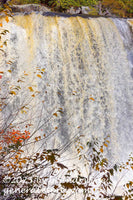 art print of Blackwater Falls showing close view of the big part of the division
