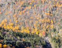 art print of Blackwater canyon showing river with late fall mountains