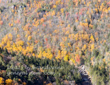 art print of Blackwater canyon showing river with late fall mountains