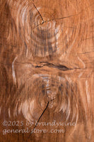 art print of double growth rings on the same large walnut log