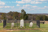 art print of Judith Henry small cemetery in Manassas Battlefield National Park