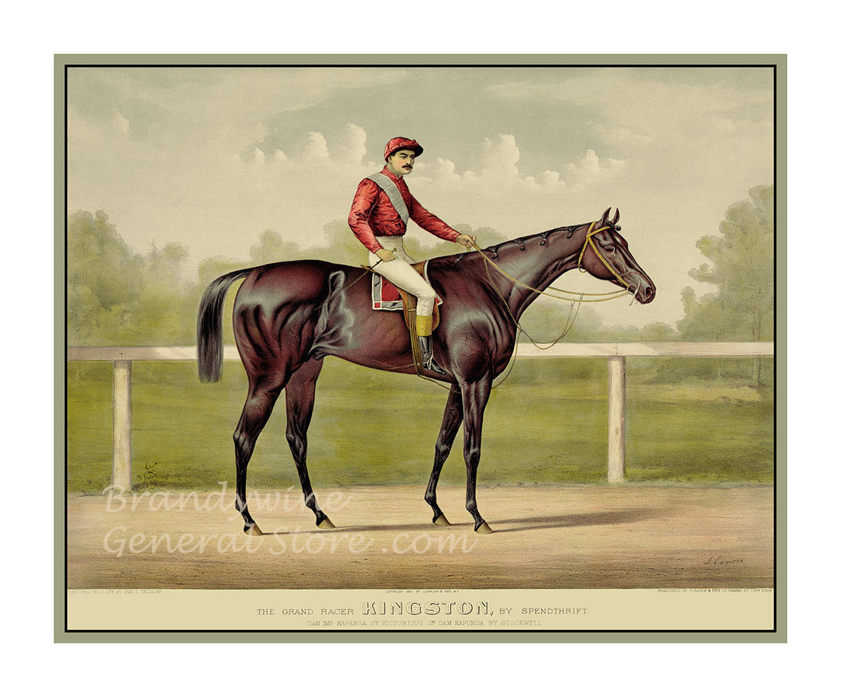 art print of antique ad for Kingston race horse with jockey on its back
