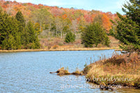 art print of small peninsula in Spruce Knob lake along with late fall colors