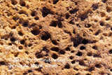 art print of Martian Landscape on a red Rock