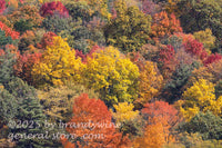 art print of medley of autumn pastel colors in Appalachian mountains