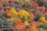 art print of medley of autumn pastel colors in Appalachian mountains