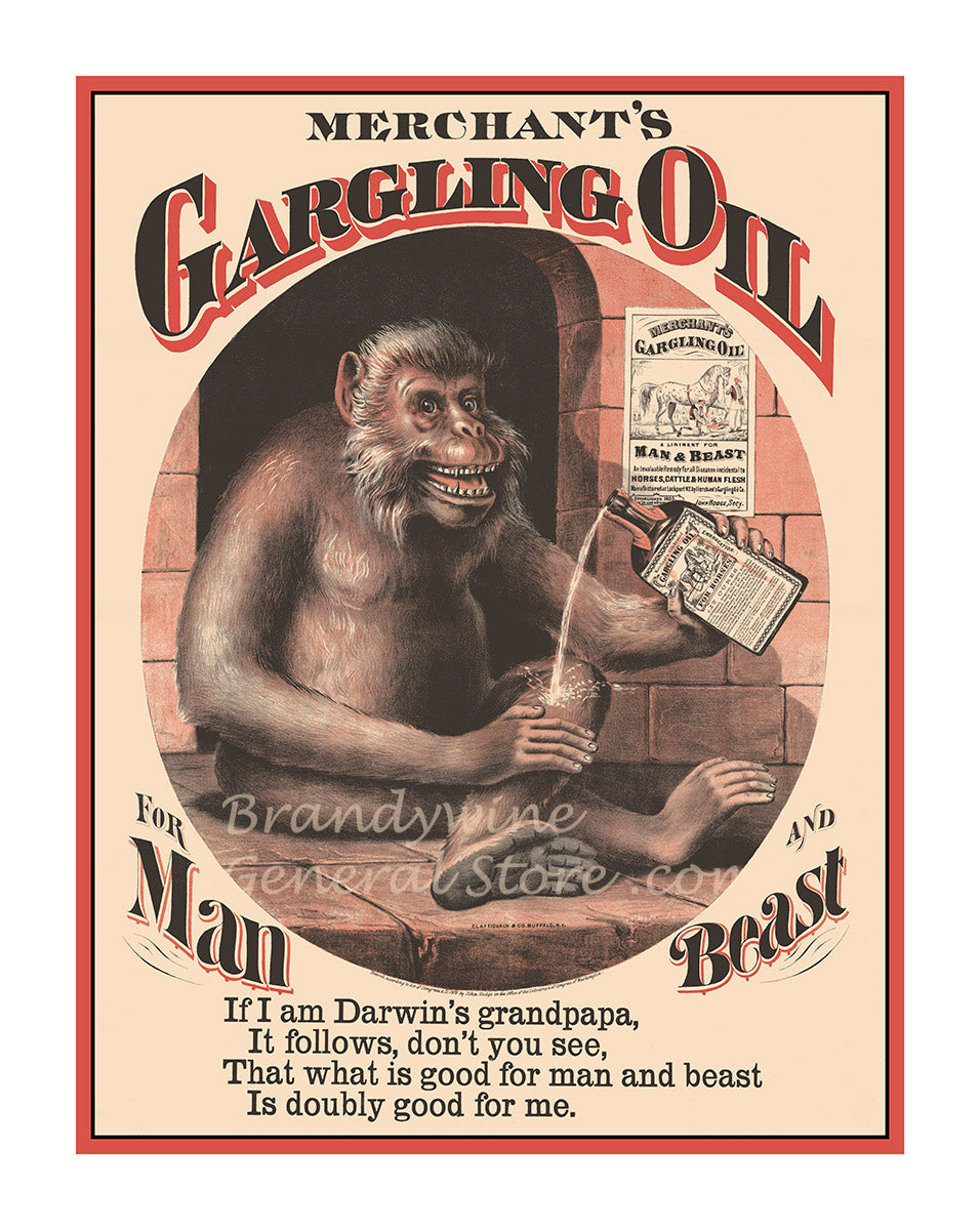 art print of antique ad for Merchant's gargling oil featuring a monkey holding the medicine