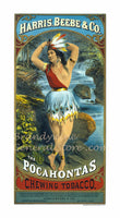 art print of antique ad for Pocahontas Chewing Tobacco featuring a Native American woman by a stream.