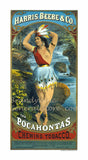 art print of antique ad for Pocahontas Chewing Tobacco featuring a Native American woman by a stream.
