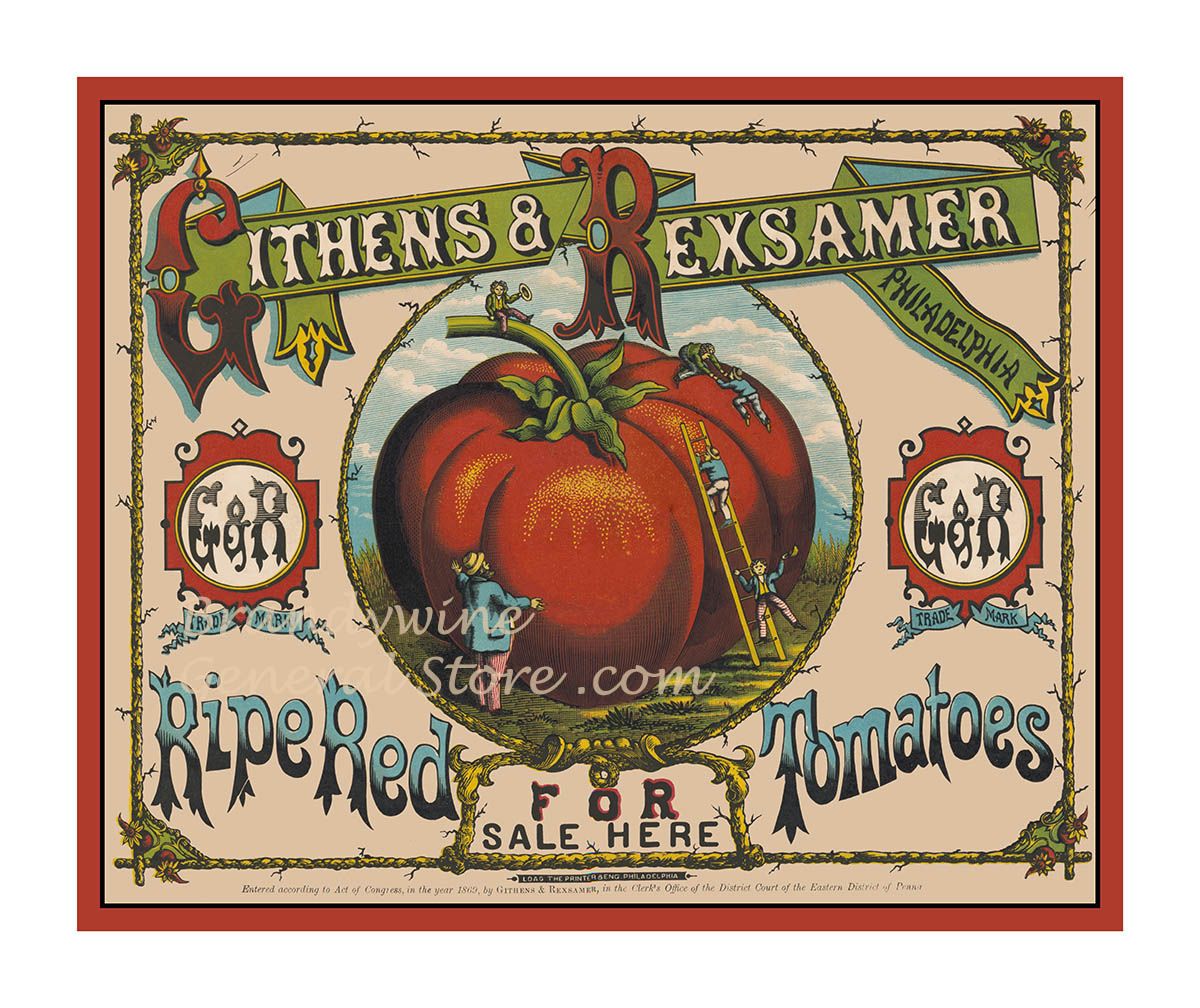 art print of antique ad for ripe red tomatoes for sale featuring a giant tomatoe with workers using ladder