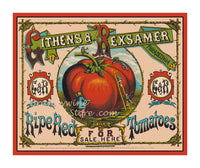 art print of antique ad for ripe red tomatoes for sale featuring a giant tomatoe with workers using ladder