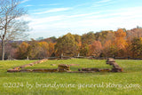 art print of Robinson house foundation on Henry Hill in Manassas National Battlefield Park