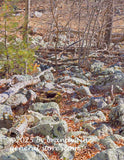 art print of Rocky Hill with Saplings at Bottom