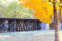 art print of Train Trestle and golden yellow fall tree in Harpers Ferry WV