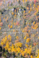 art print of rugged wall of Blackwater canyon WV in late fall