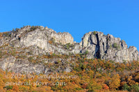 art print of a close view of Seneca Rocks in WV during the autumn season