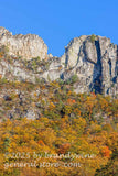 art print of middle section of Seneca Rocks during autumn