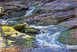 art print of Shay's Run in Blackwater Falls WV state park flowing over rock ledges