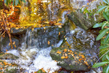 art print of small rocky waterfall with honey color water pool at top in shay's run