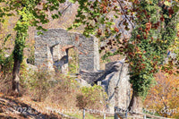 art print of St. John's Church ruins draped in greenery Harpers Ferry WV