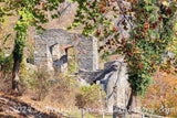 art print of St. John's Church ruins draped in greenery Harpers Ferry WV