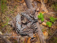 art print of three pine cones in a circle on a small stick with wild strawberry plant