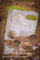 art print of tombstone shaped rock on top of Spruce Knob mountain in WV