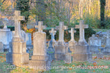 art print of tombstones with crosses in Burwell Cemetery Millwood VA