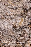 art print of aged driftwood with grains of swirls going in different directions