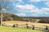 art print of landscape with civil war fencing, fields and trees at Manassas Battlefield