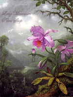 An archival premium quality art print of Hummingbird Perched on the Orchid Plant painted by Martin Johnson Heade in 1901 for sale by Brandywine General Store