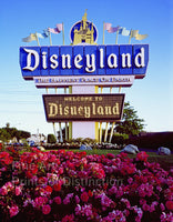 Disneyland sign in California print