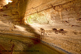 A Curved Wall inside Cathedral Caverns Art Print