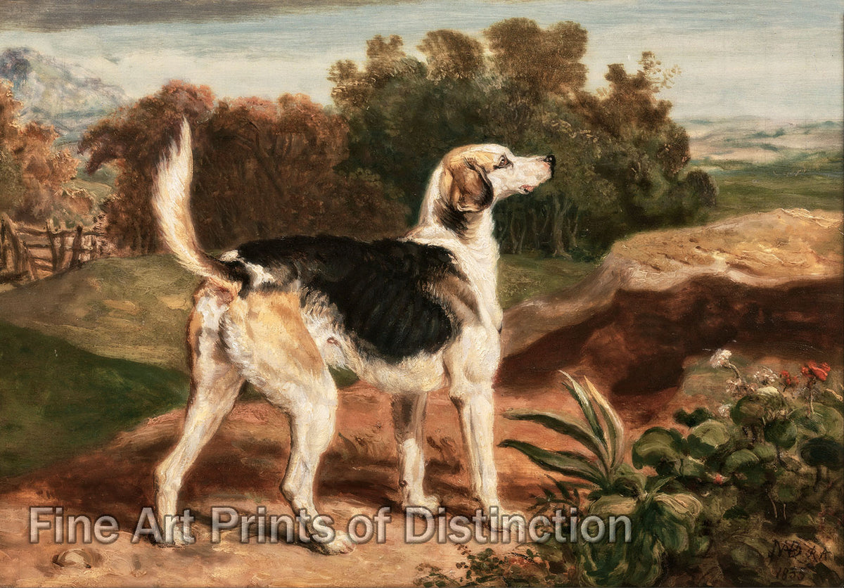 An archival premium Quality art Print of Ravager, One of the Lambton Hounds by James Ward for sale by Brandywine General Store